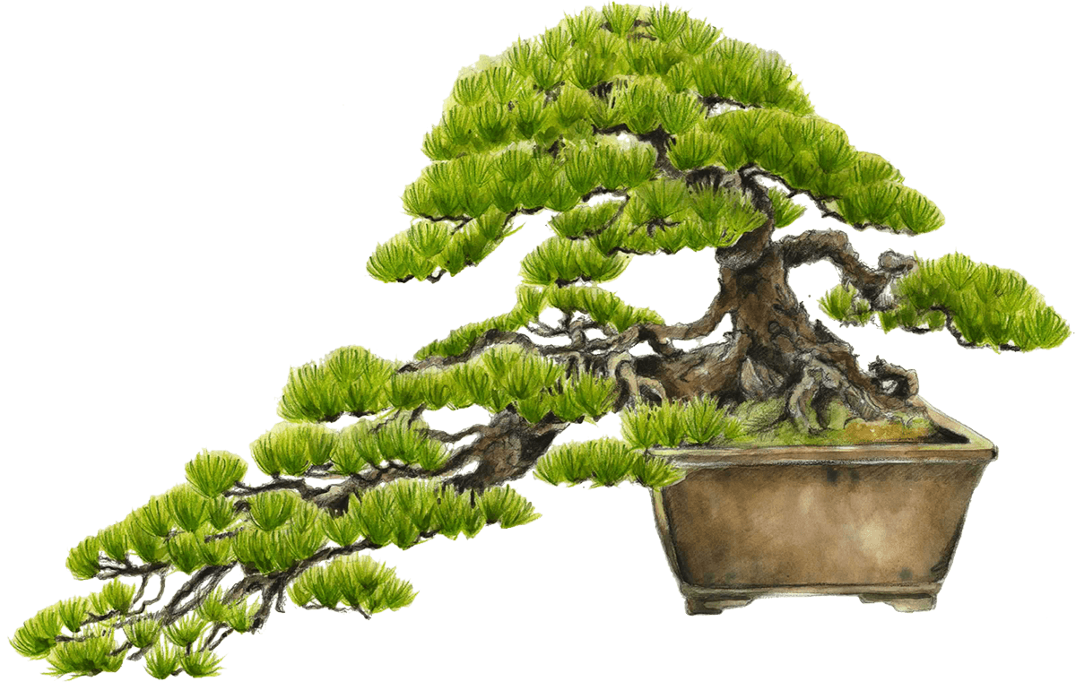 BONSAI