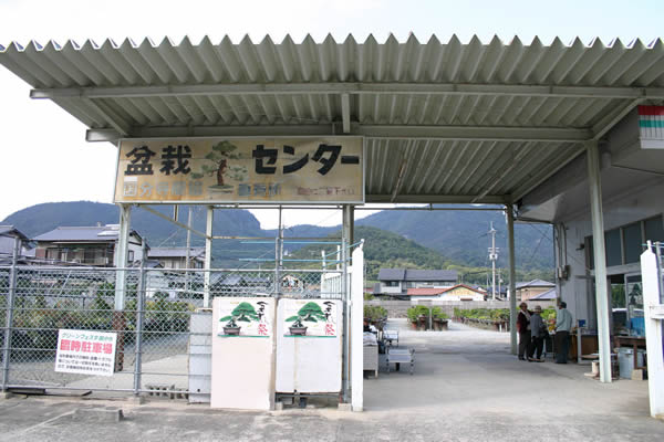 Gate to the JA Kokubunji bonsai center