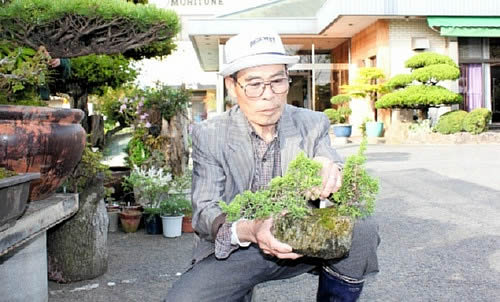 Mori takes care of his bonsai.