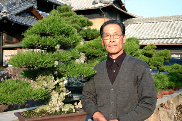 Mashima Yoshimi with his Shimagi (collection from islands) in Mashima bonsai garden in Takamatsu's Kokubunji town