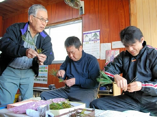 Tadashi Ayada (left) is teaching the technique of Tsugiki to Tadahito Ayada (middle) and Koji Hiramatsu (right) in Ryoshoen bonsai garden in Takamatsu's Kokubunji town.