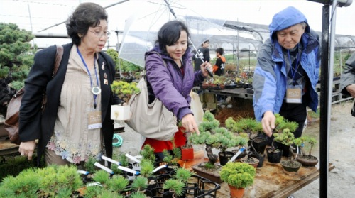 Bonsai garden tour_4