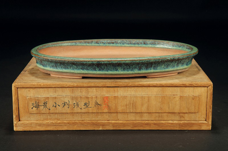 Ellipse Pot of Outstretched edge with original box