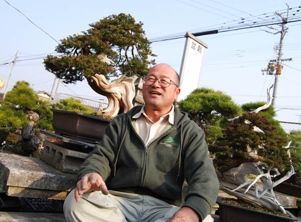 Yamaji, sitting in front of bonsai containers on display, talks about how attractive bonsai are.