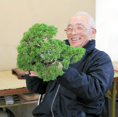 シンパクをめでる村下さん