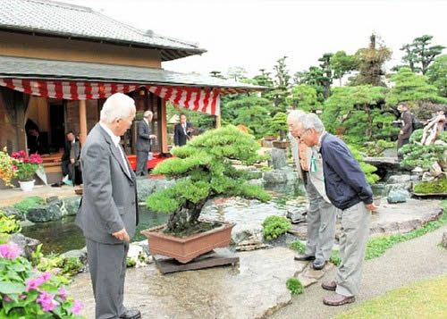 見事な盆栽に参加者の目もくぎ付け