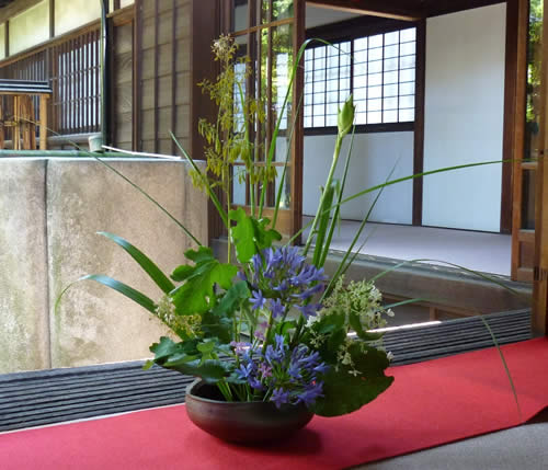 ikebana2.jpg